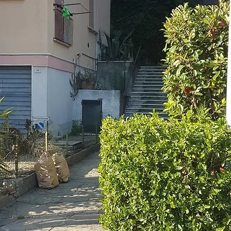 Monterosso Mesco Modern Flat *